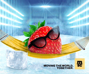 MSC Moving the World Himbeere in Hängematte