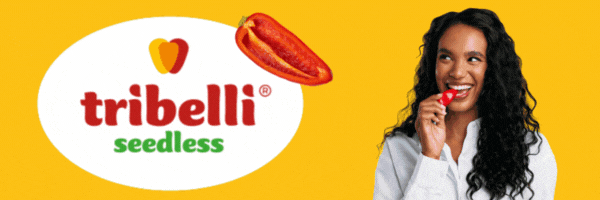 KW 2-2026 bis kw 5-2026