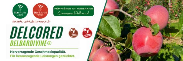 starfruit 2026 kw39