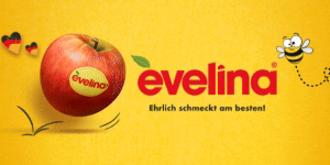 evelina ab kw 41