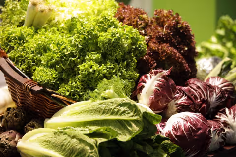 Verschiedene Salatsorten, darunter grüner Blattsalat, roter Radicchio und Romana-Salat