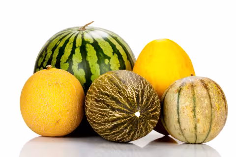 Fünf verschiedene Melonen: eine grüne Wassermelone, zwei gelbe Honigmelonen, eine grüne Netzmelone und eine gelb-grün gestreifte Melone auf weißem Hintergrund