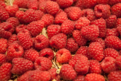 viele Himbeeren