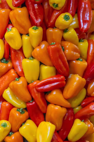 Bunte Paprika in Rot, Orange und Gelb, verschiedene Formen und Größen, eng zusammenliegend.