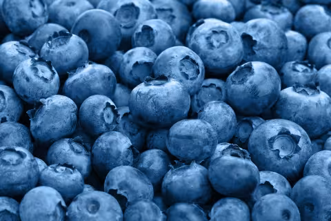 Eine Ansammlung von blauen Heidelbeeren, die eine unregelmäßige Anordnung aufweisen.