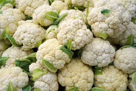 Mehrere frische Blumenkohlköpfe mit grünen Blättern liegen dicht beieinander.