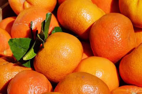 Mandarinen
