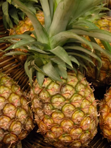 Ananas mit Krone