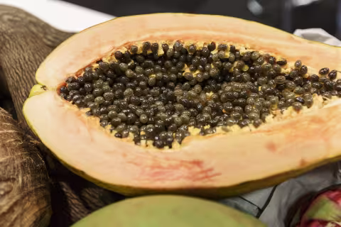 Hälfte einer aufgeschnittenen Papaya mit Kernen