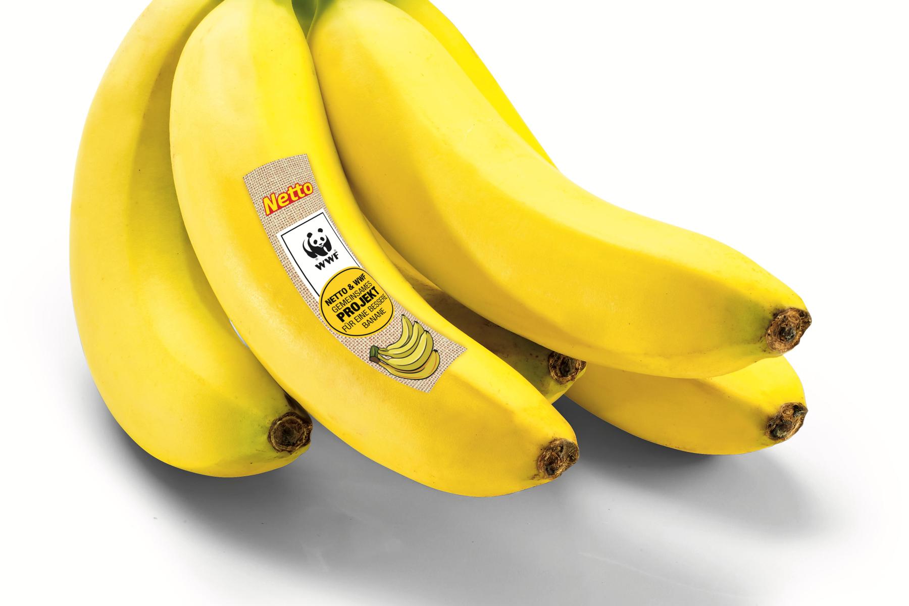 Bündel von fünf gelben Bananen mit Netto- und WWF-Aufkleber 'MITEINANDER FÜR DEN PLANETEN'