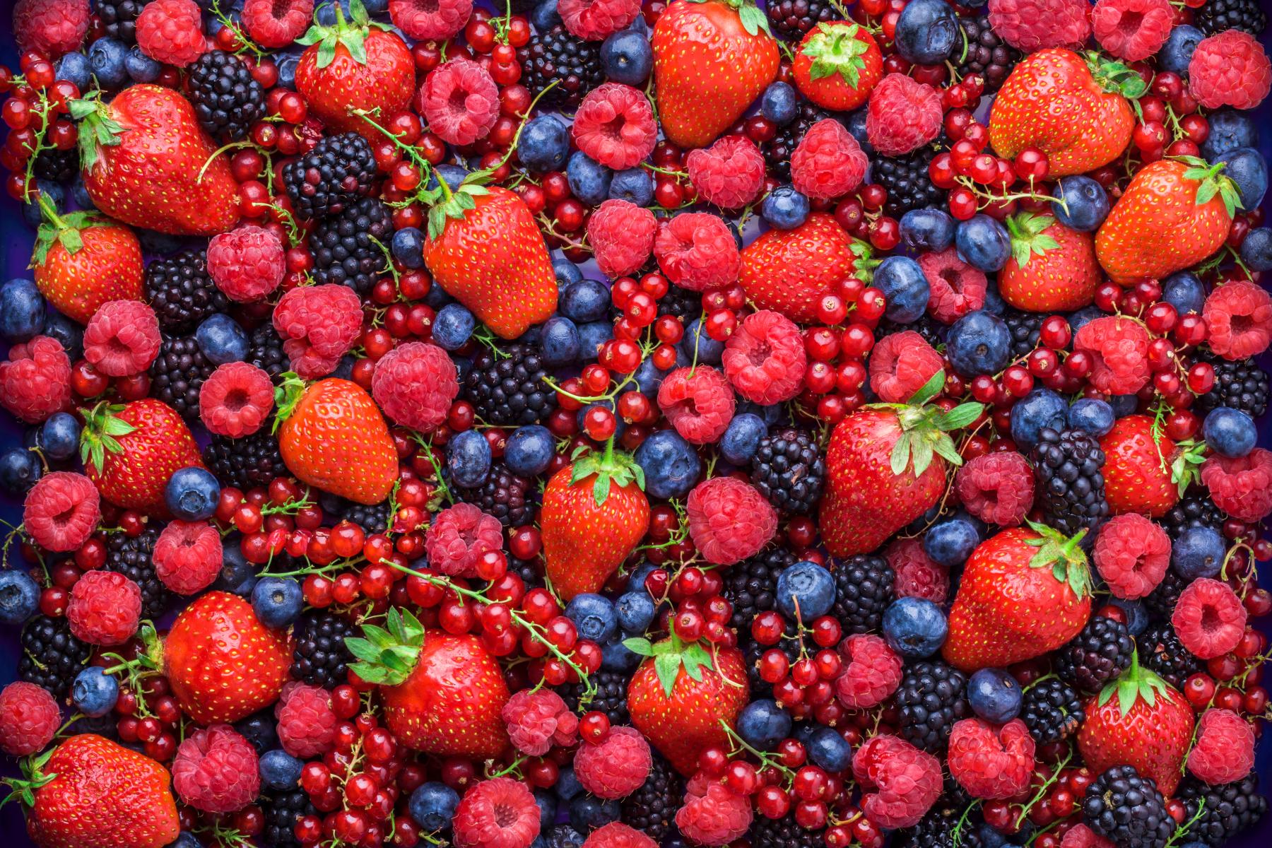 Mischung aus frischen Erdbeeren, Himbeeren, Brombeeren, Heidelbeeren und roten Johannisbeeren
