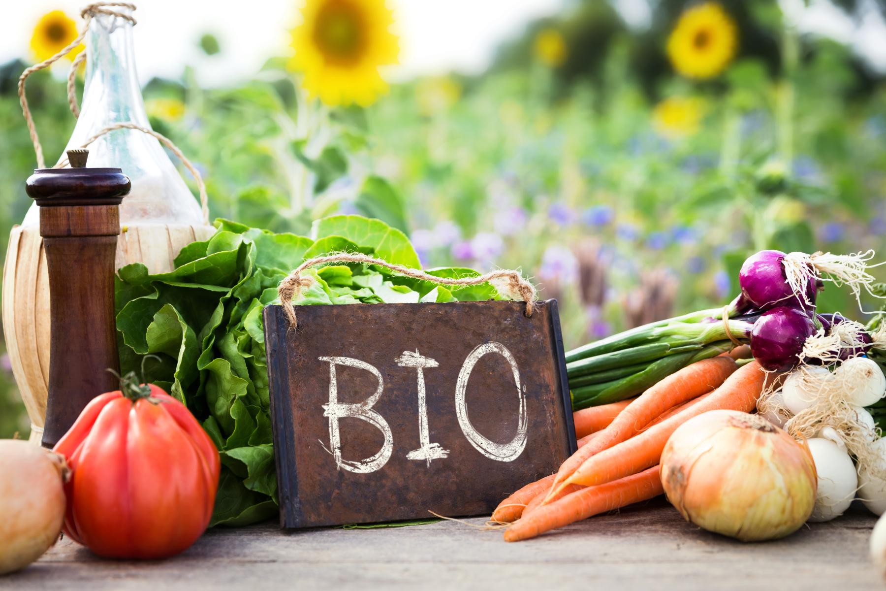 Frisches Bio-Gemüse wie Tomate, Karotten, Zwiebeln und Radieschen mit einem Schild 'BIO' auf einem Holztisch vor einem Sonnenblumenfeld