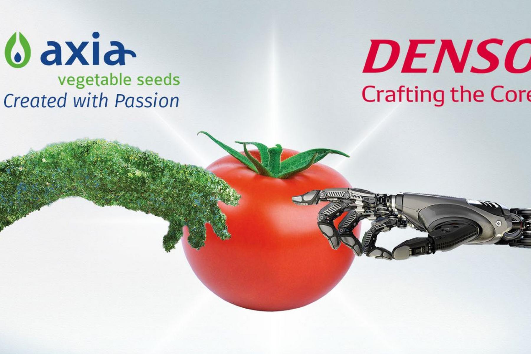 Axia Vegetable Seeds mit grünem Pflanzenarm und Slogan 'Created with Passion' trifft auf Denso mit Roboterarm und Slogan 'Crafting the Core', beide greifen eine Tomate