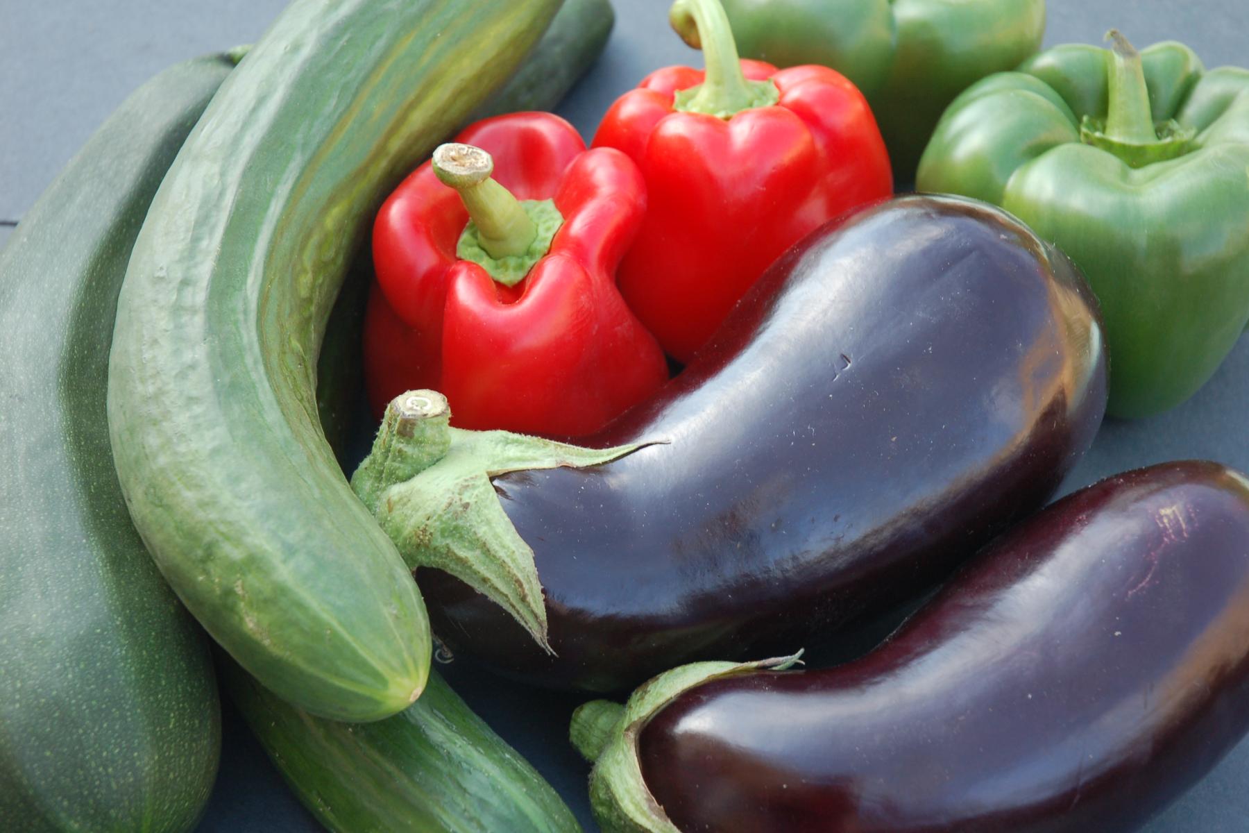 verformte Gurken, rote und grüne Paprika sowie Auberginen