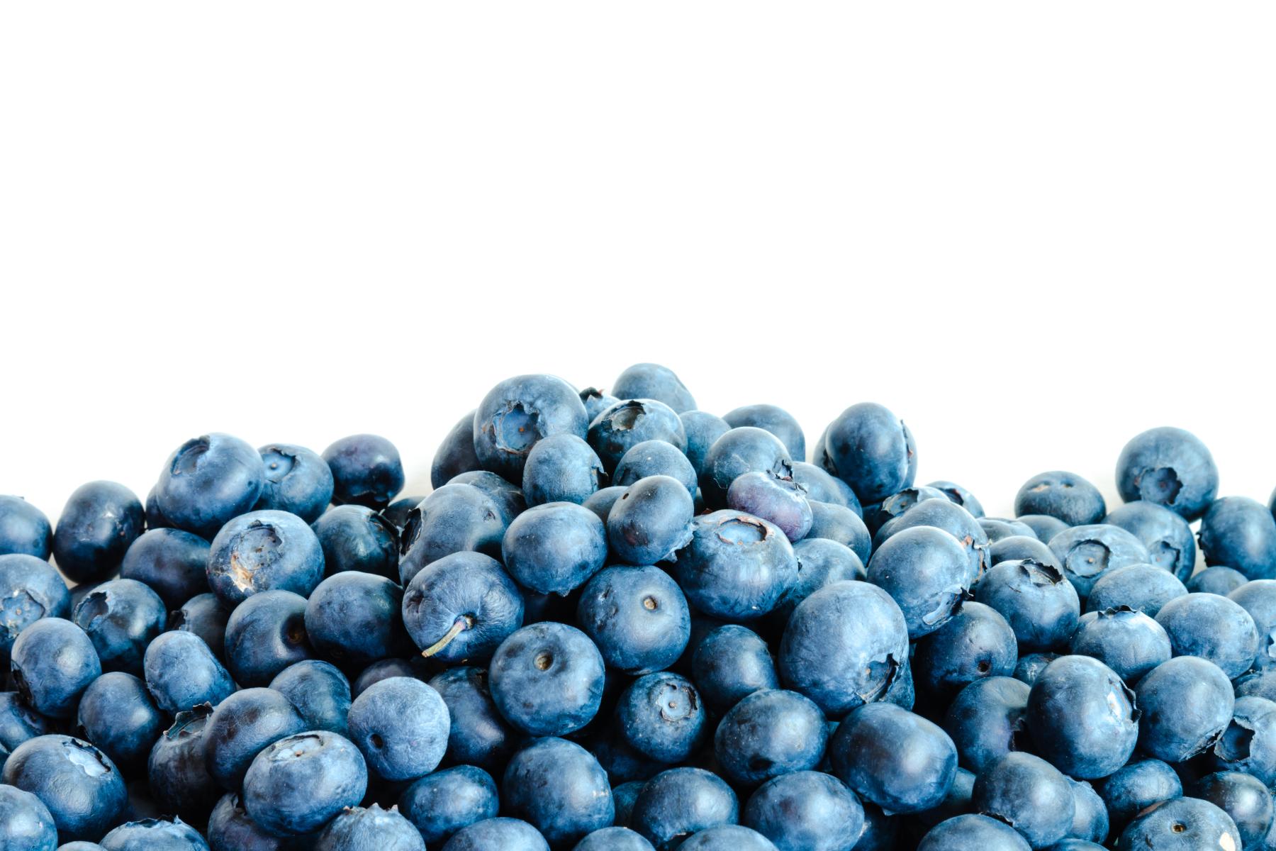 Frische Heidelbeeren in einer großen Menge auf weißem Hintergrund