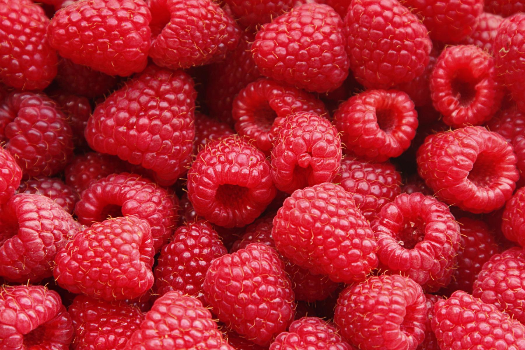 Nahaufnahme mehrerer reifer Himbeeren