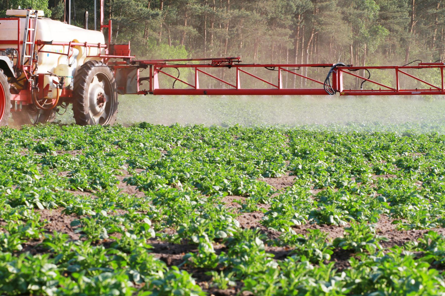 Landwirtschaftlicher Traktor mit Pflanzenschutzspritze besprüht grüne Feldfrüchte vor Wald