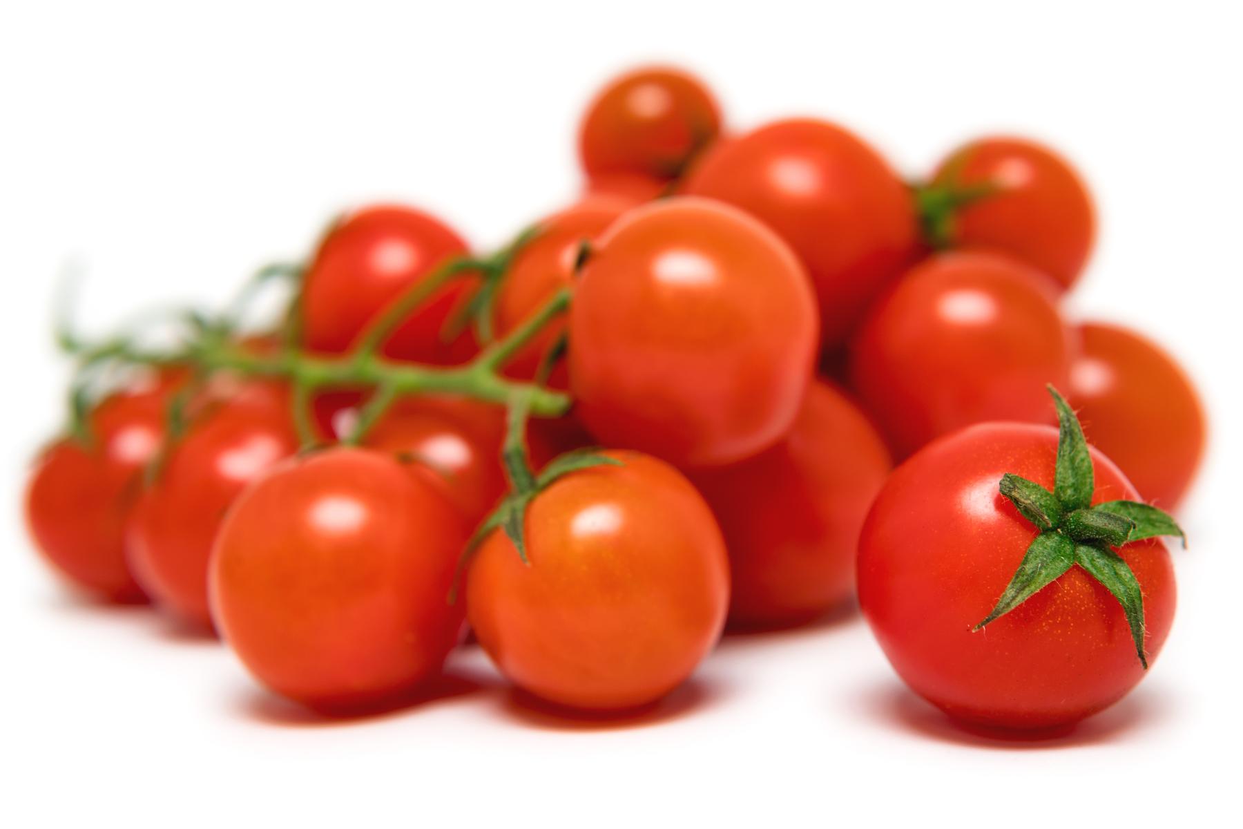 Reife rote Kirschtomaten an grünen Stielen auf weißem Hintergrund