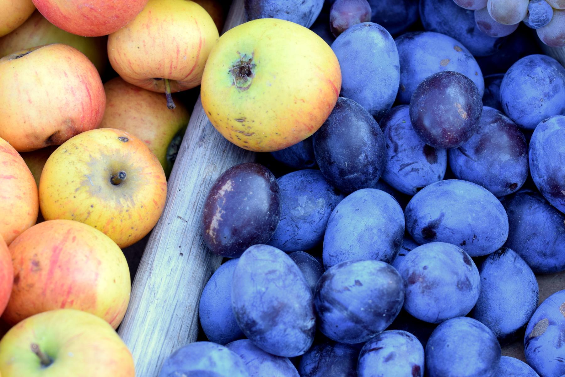 Äpfel und Pflaumen