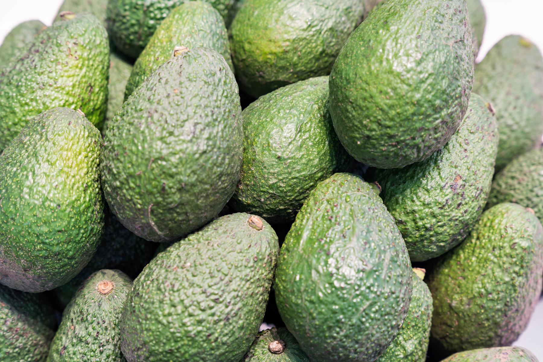 Mehrere grüne Avocados mit rauer, unregelmäßiger Oberfläche dicht aneinandergelegt