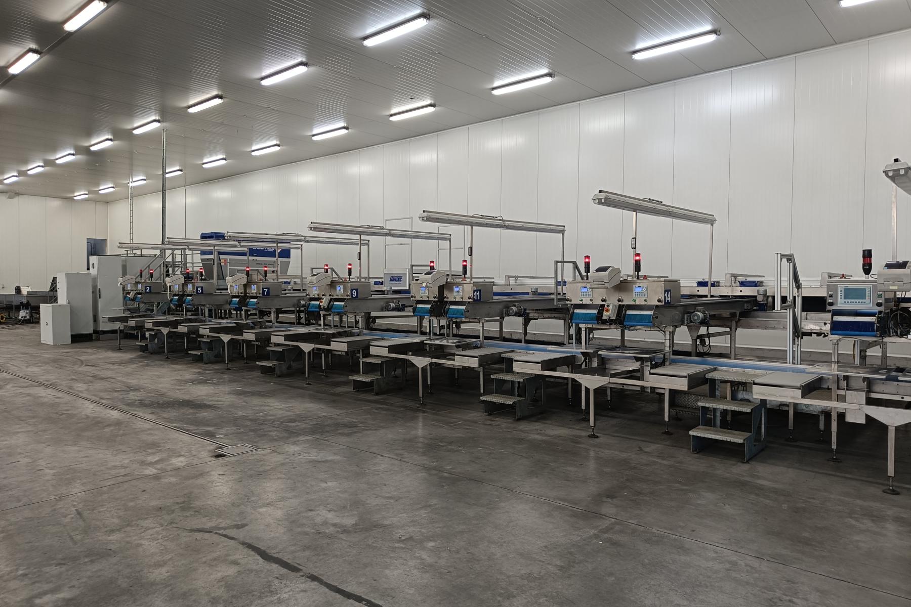 Lange Sortierlinie mit mehreren Förderbändern und Kontrollstationen in einer großen, hell beleuchteten Industriehalle