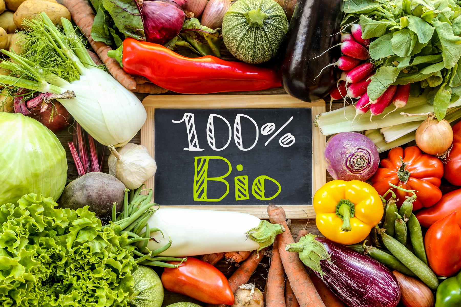 Eine Vielzahl von frischem Gemüse, darunter Paprika, Zucchini, Radieschen und Karotten, umrahmt eine Tafel mit der Aufschrift '100% Bio'.