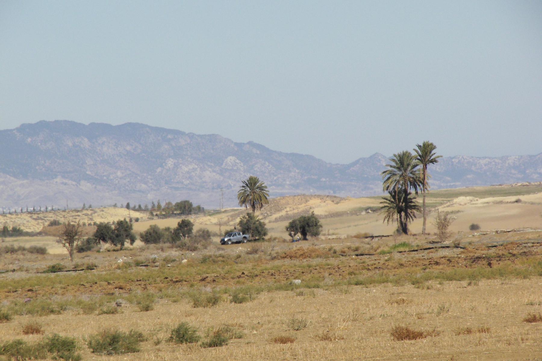 Trockene, braune Landschaft mit wenigen Palmen und einem Auto, im Hintergrund Berge unter klarem Himmel