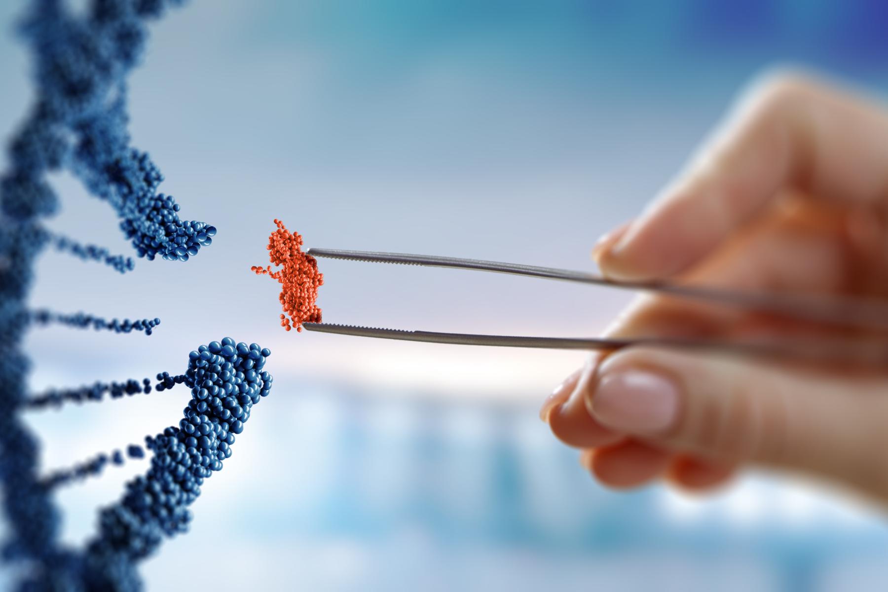 Hand hält mit Pinzette ein rotes DNA-Basenpaar vor einer blauen DNA-Doppelhelix