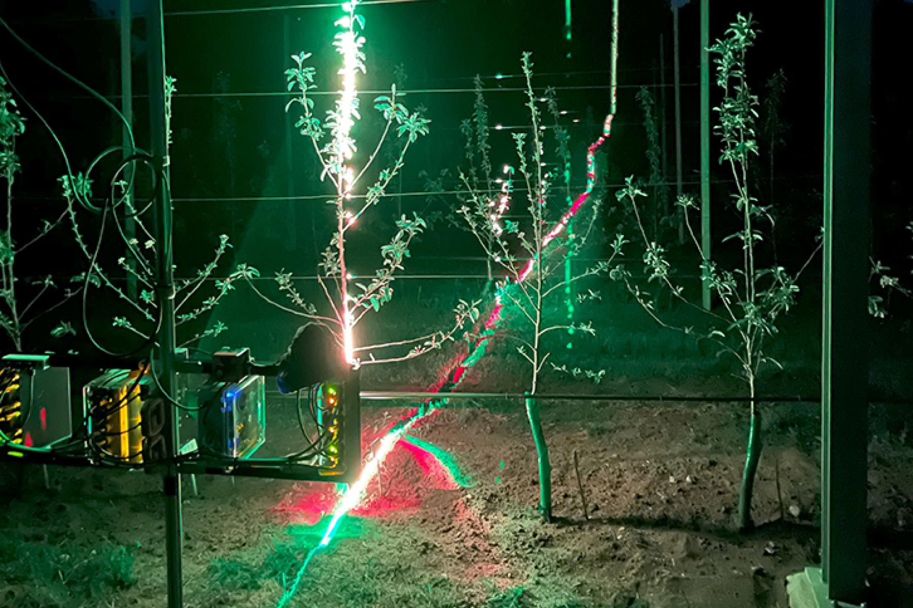 Bei diesem Apfelbaum-Scan ist zu sehen, wie die Laserlinie im Hintergrund den Waldrand beleuchtet.