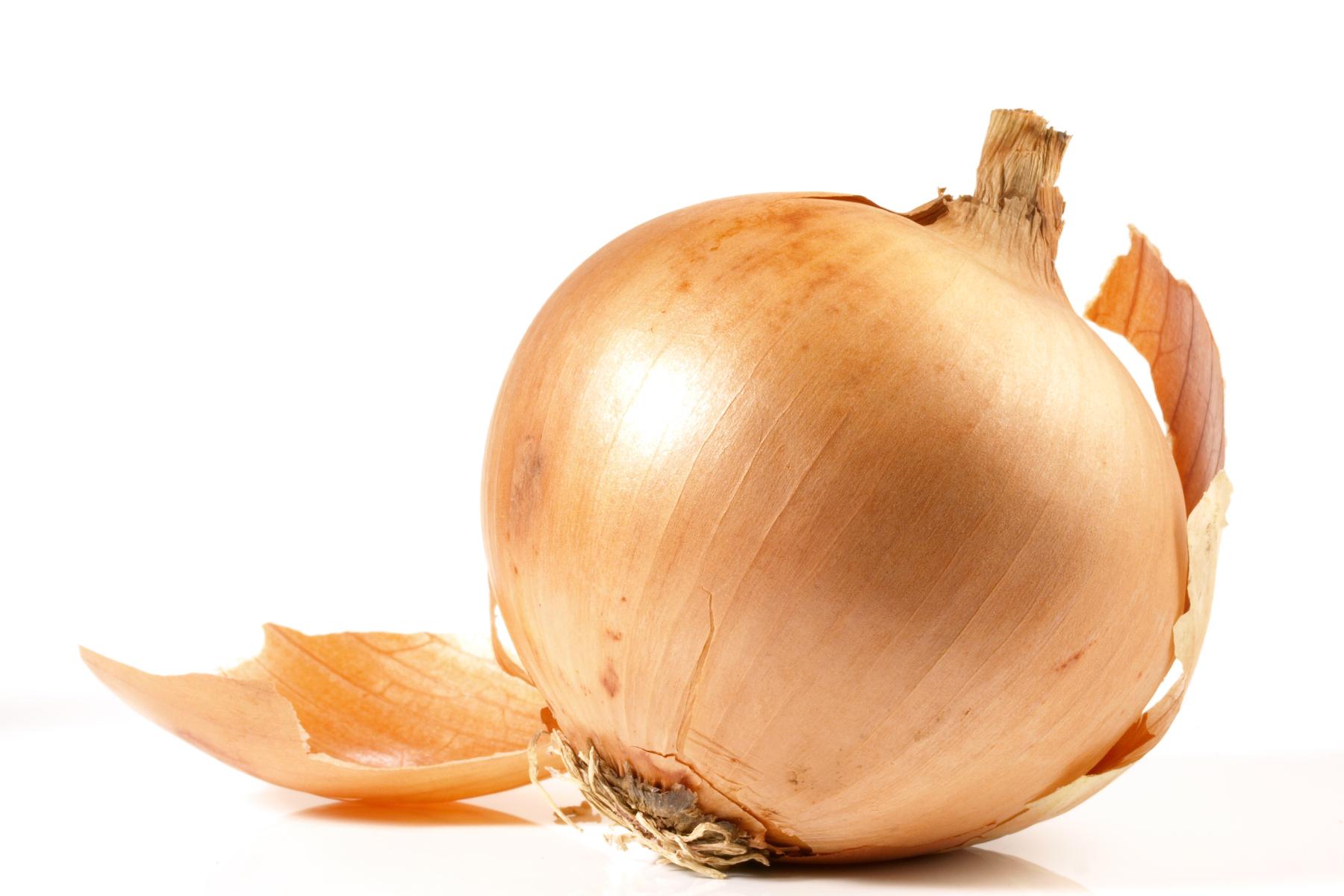 Braune Zwiebel mit teilweise abgelöster Schale
