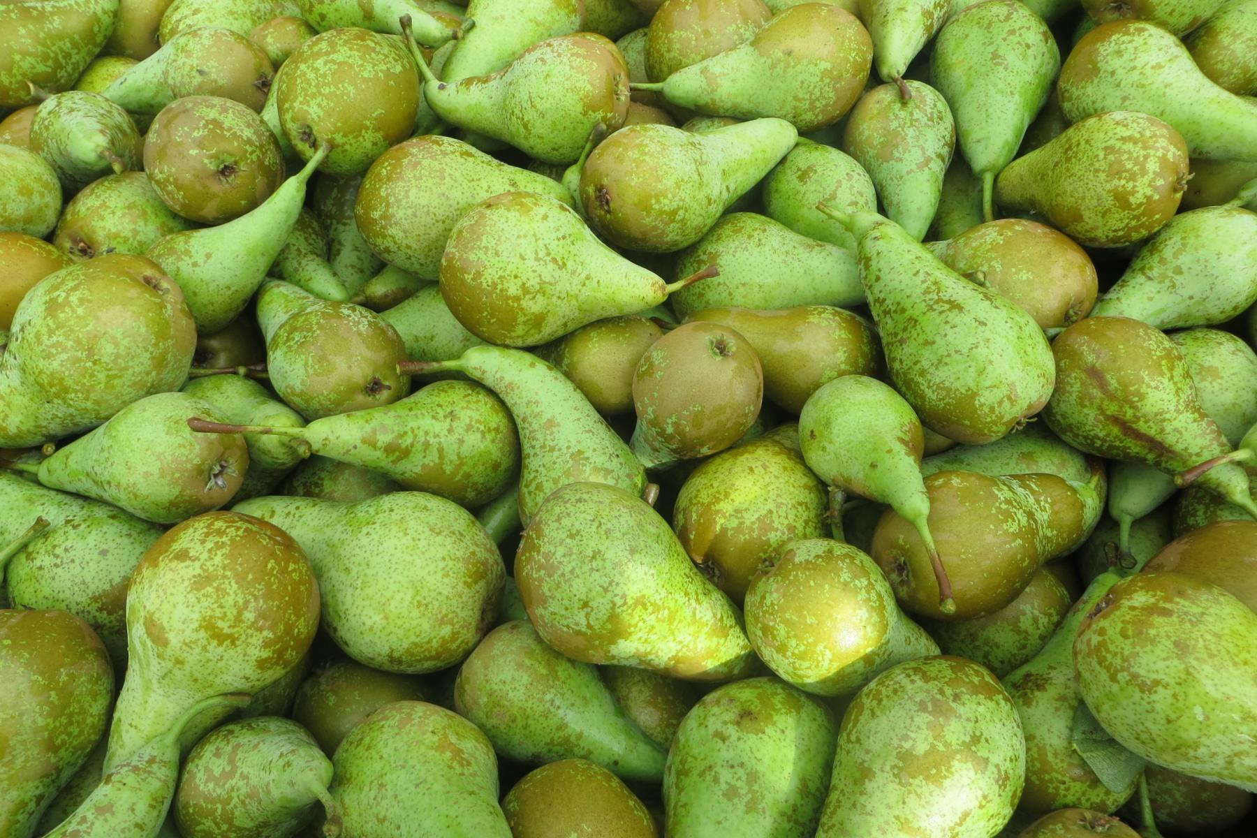 Birnen