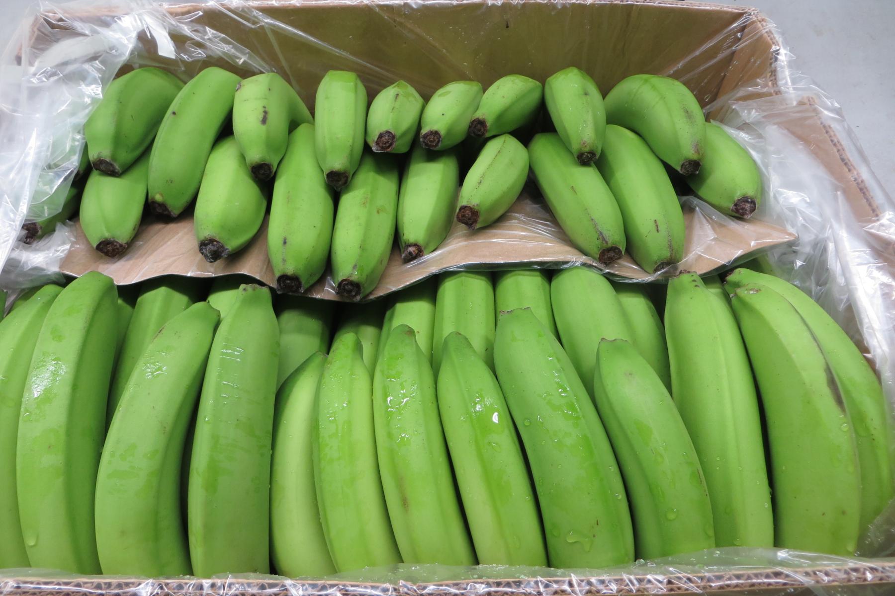 Bananen im Karton