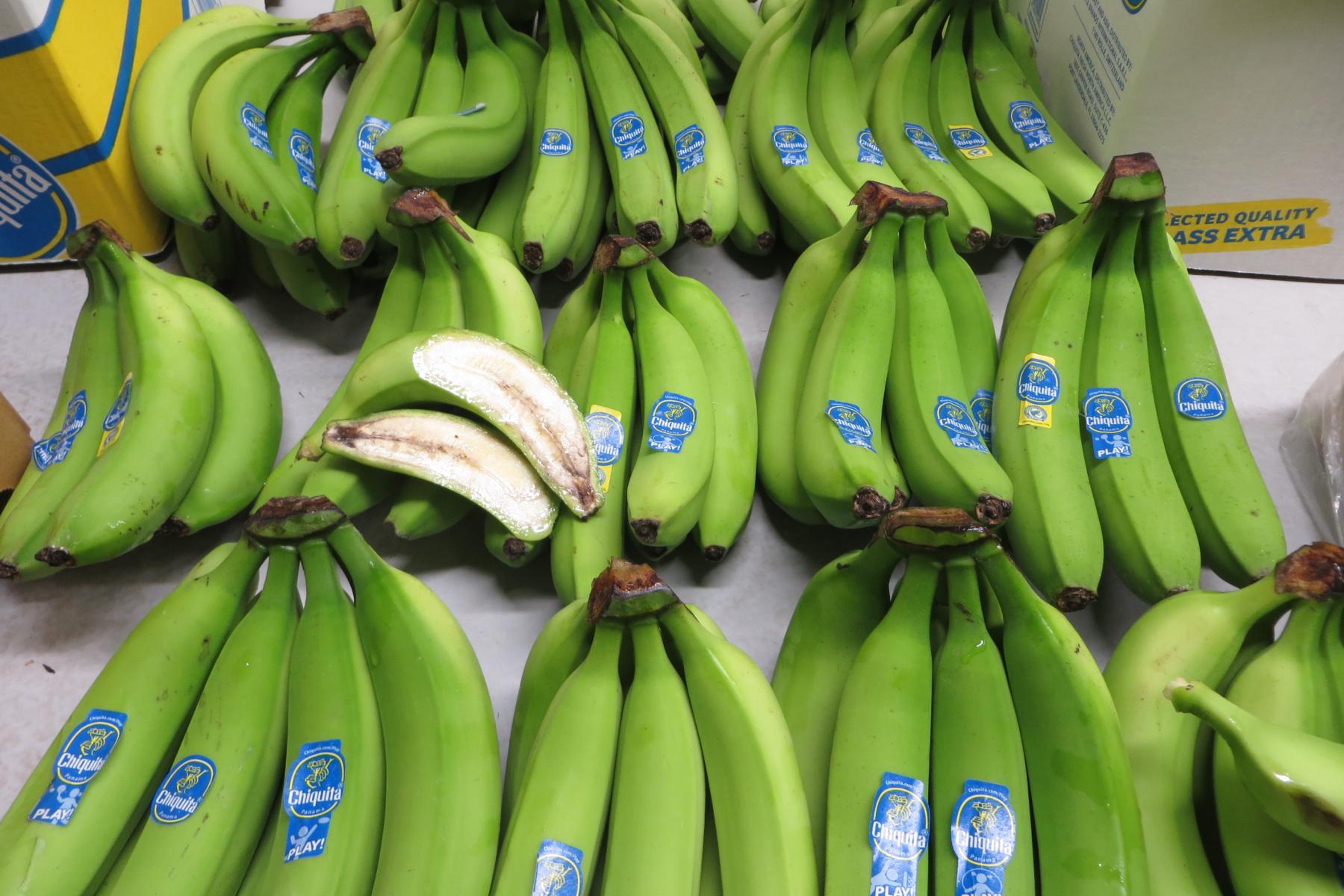 grüne Bananen - ganz und aufgeschnitten