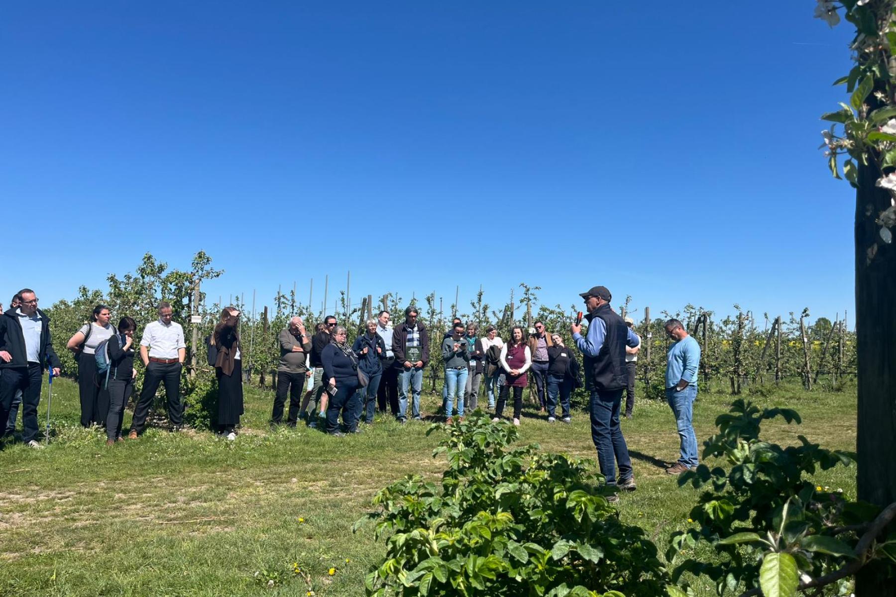 Gruppe von etwa 15 Personen steht auf einer Wiese vor einer Reihe von Obstbäumen, ein Mann spricht zur Gruppe, blauer Himmel