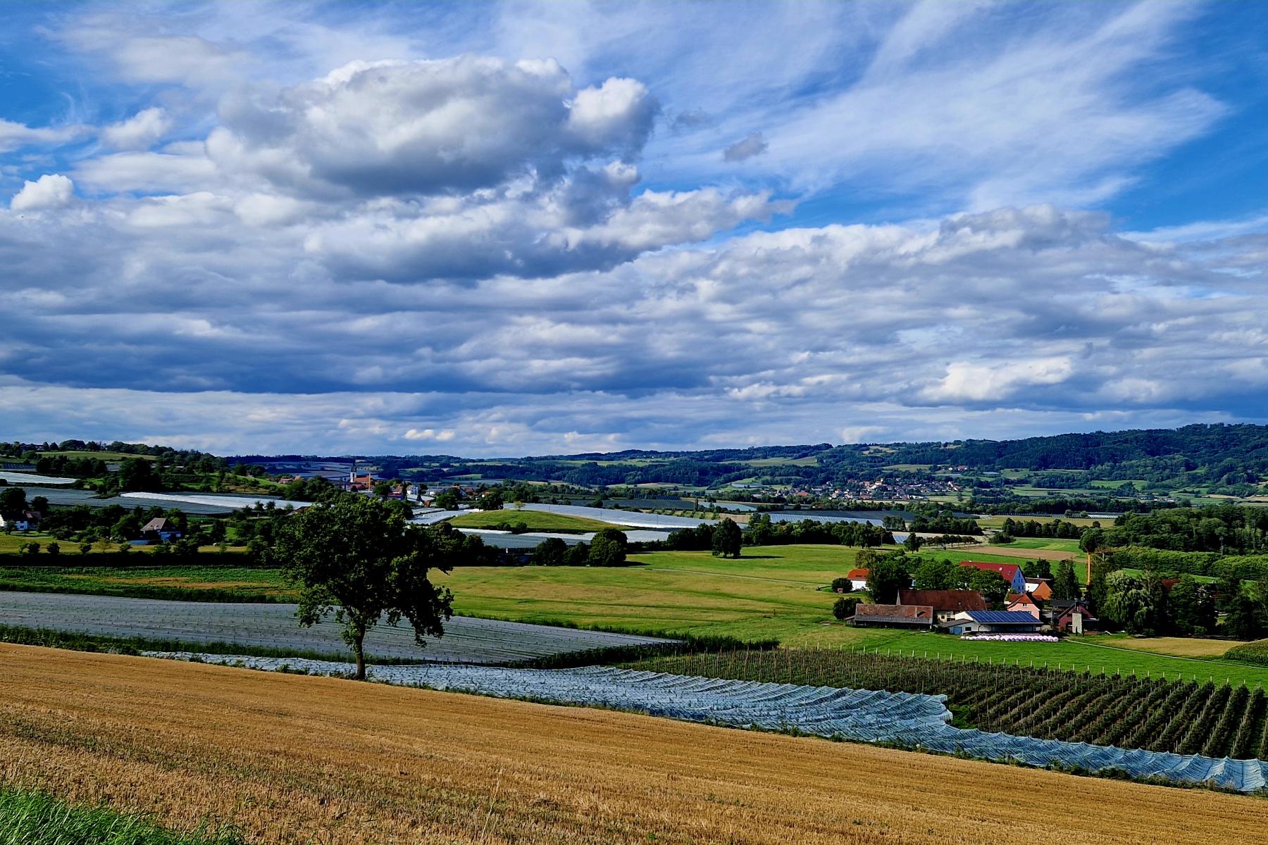 Blick auf landwirtschaftliche Felder und einen Bauernhof am Bodensee unter leicht bewölktem Himmel