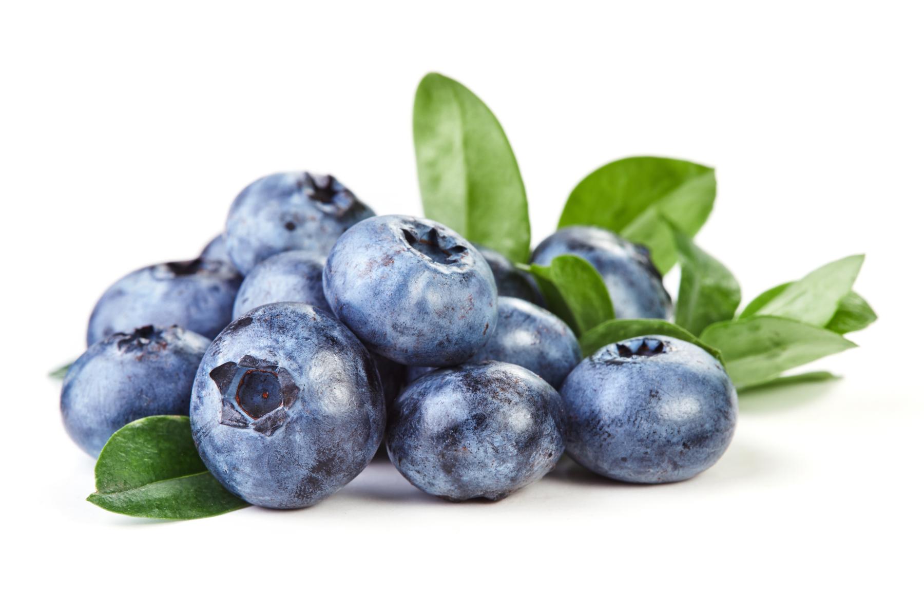 Heidelbeeren mit ein bisschen Grün