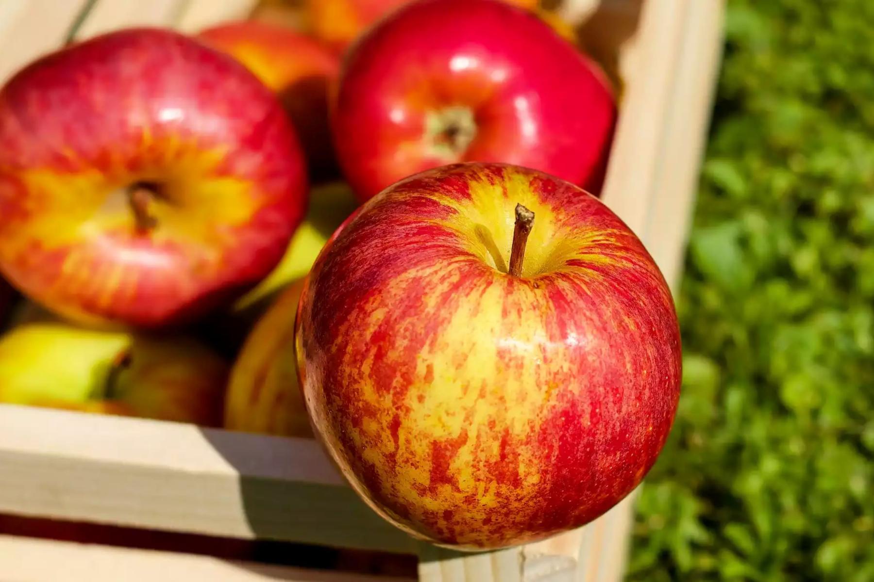 Äpfel in Holzkiste