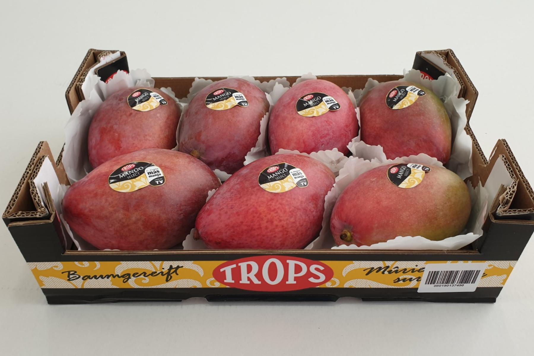 Mangos in Karton