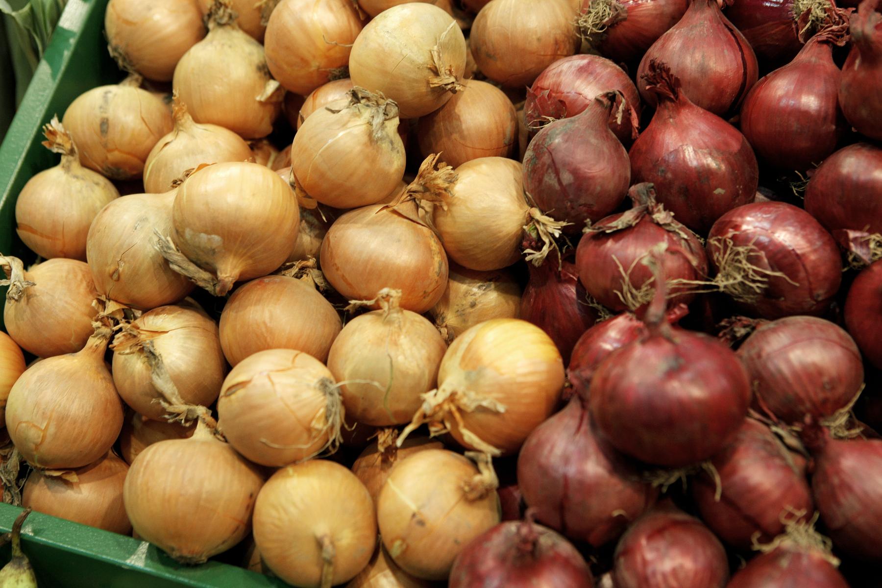 Gelbe und rote Zwiebeln nebeneinander in einer grünen Kiste angeordnet