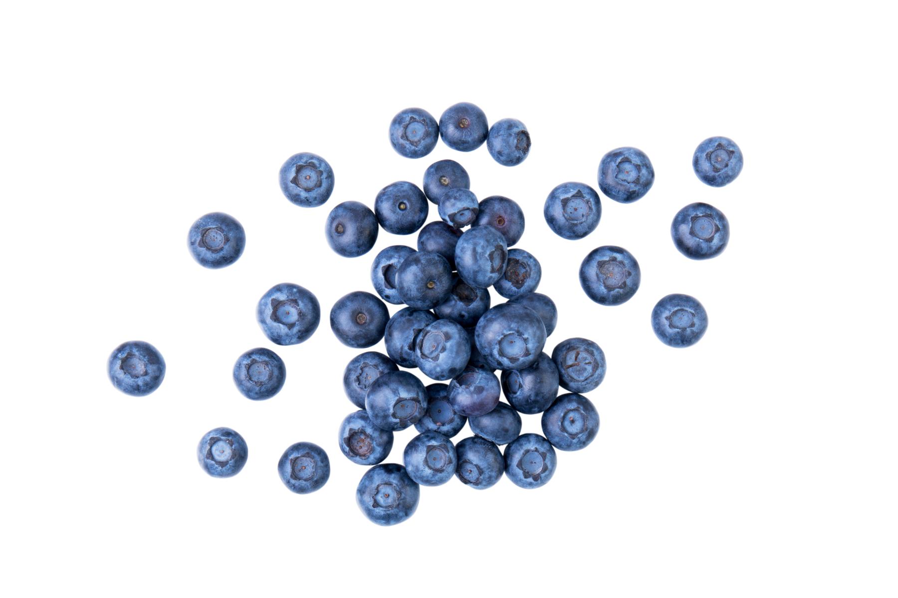 Heidelbeeren