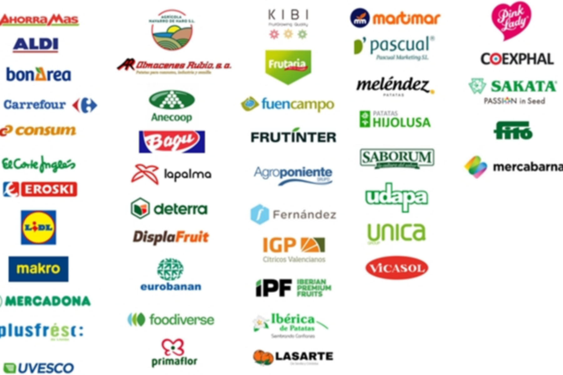 Logos von Unternehmen, die an der Umfrage „Pulso del sector de frutas y hortalizas“ teilgenommen haben, darunter Aldi, Carrefour, Eroski, Lidl, Mercadona, Pascual, Sakata, Vicasol und weitere.