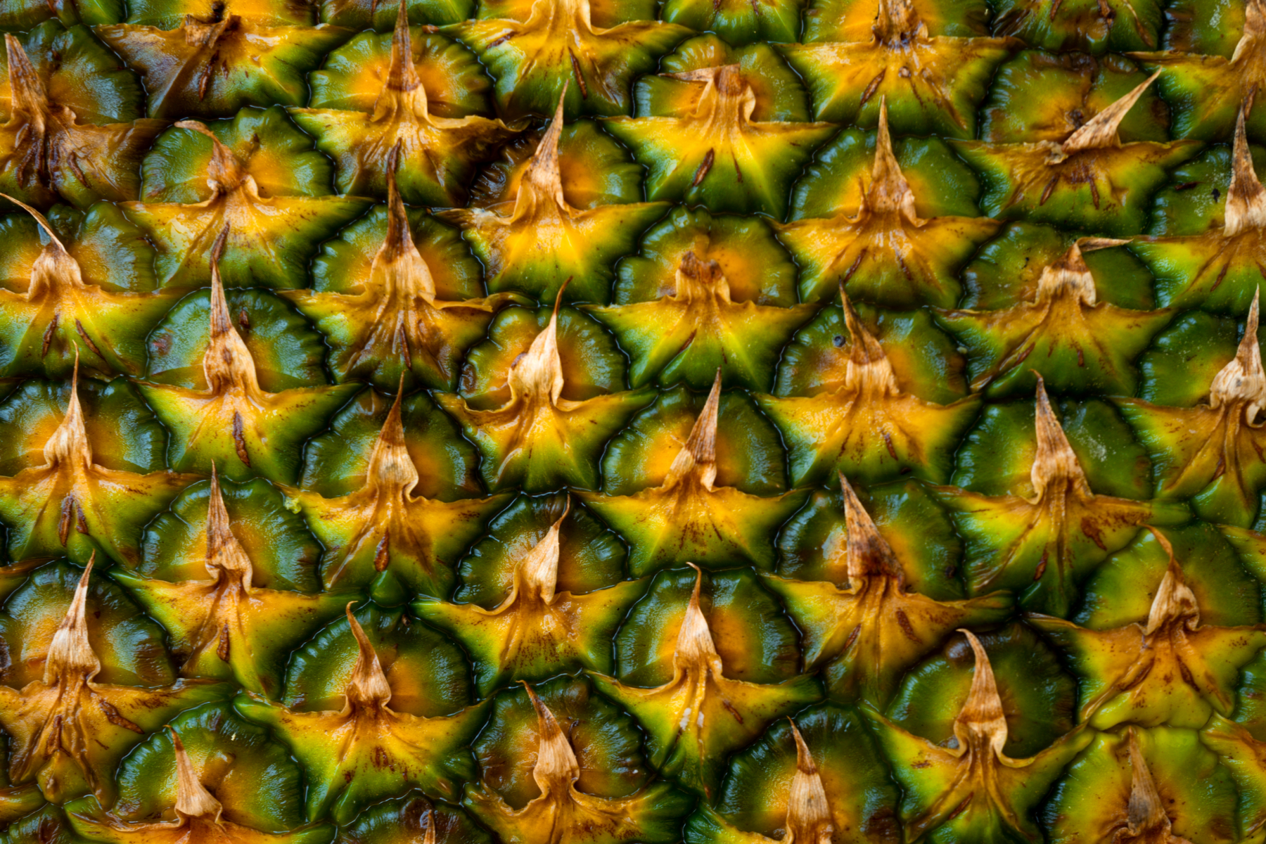 Nahaufnahme der schuppigen, gelb-grünen Oberfläche einer Ananas mit spitzen, braunen Enden