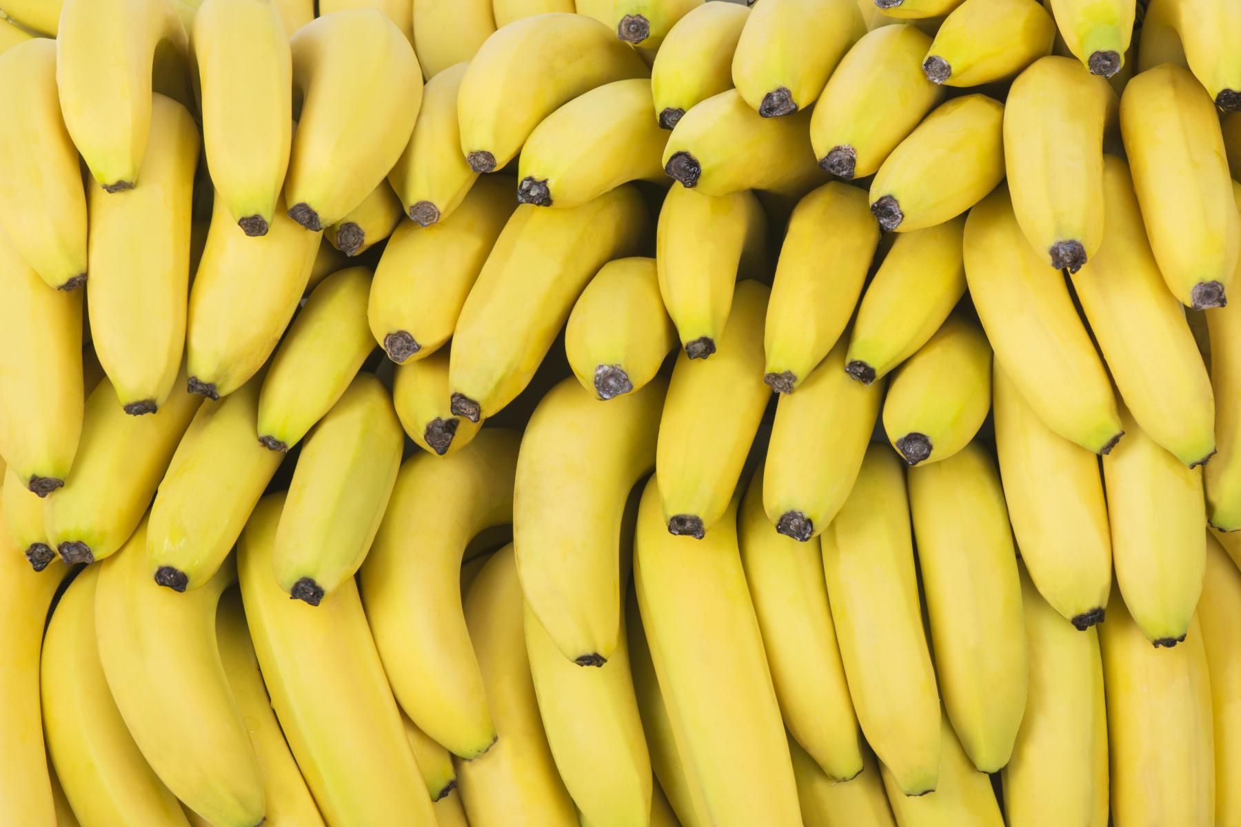 Viele gelbe Bananen eng aneinander liegend