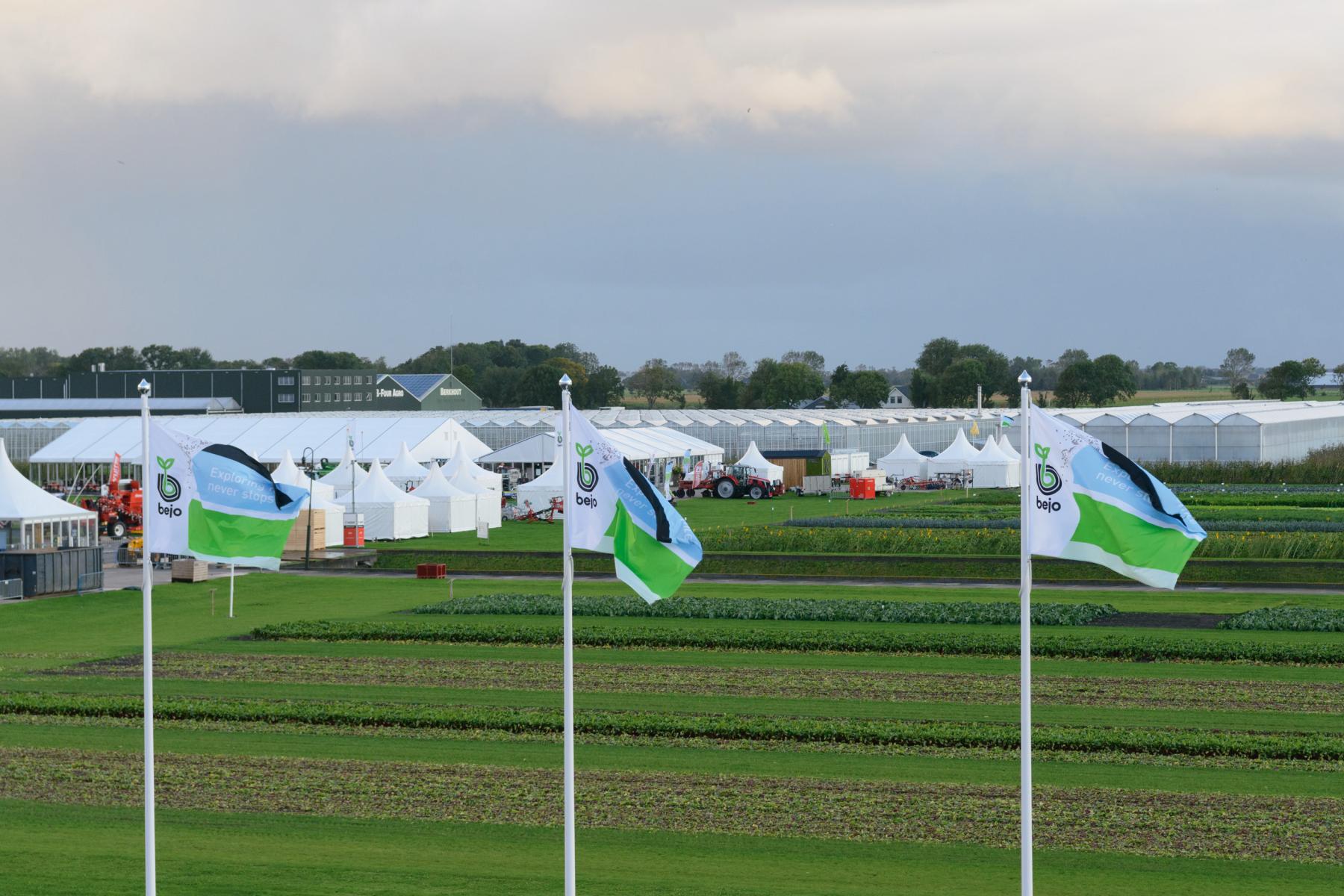 Feld mit Reihen von Pflanzen und mehreren weißen Zelten im Hintergrund bei bewölktem Himmel während der Bejo Open Days 2025