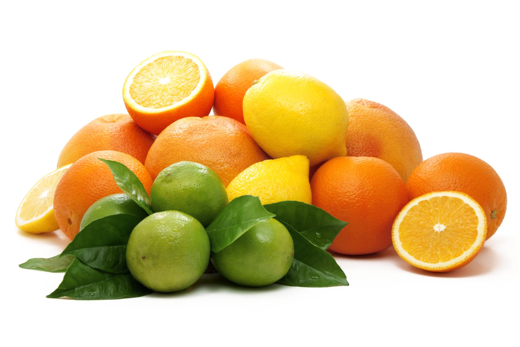 Mischung aus Orangen, Zitronen und Limetten mit grünen Blättern, einige Früchte halbiert, auf weißem Untergrund