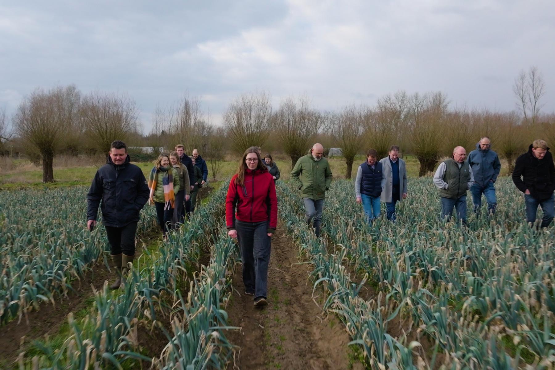 Gruppe von Personen, die durch ein Feld mit Zwiebelpflanzen gehen, umgeben von Bäumen im Hintergrund, bewölkter Himmel.