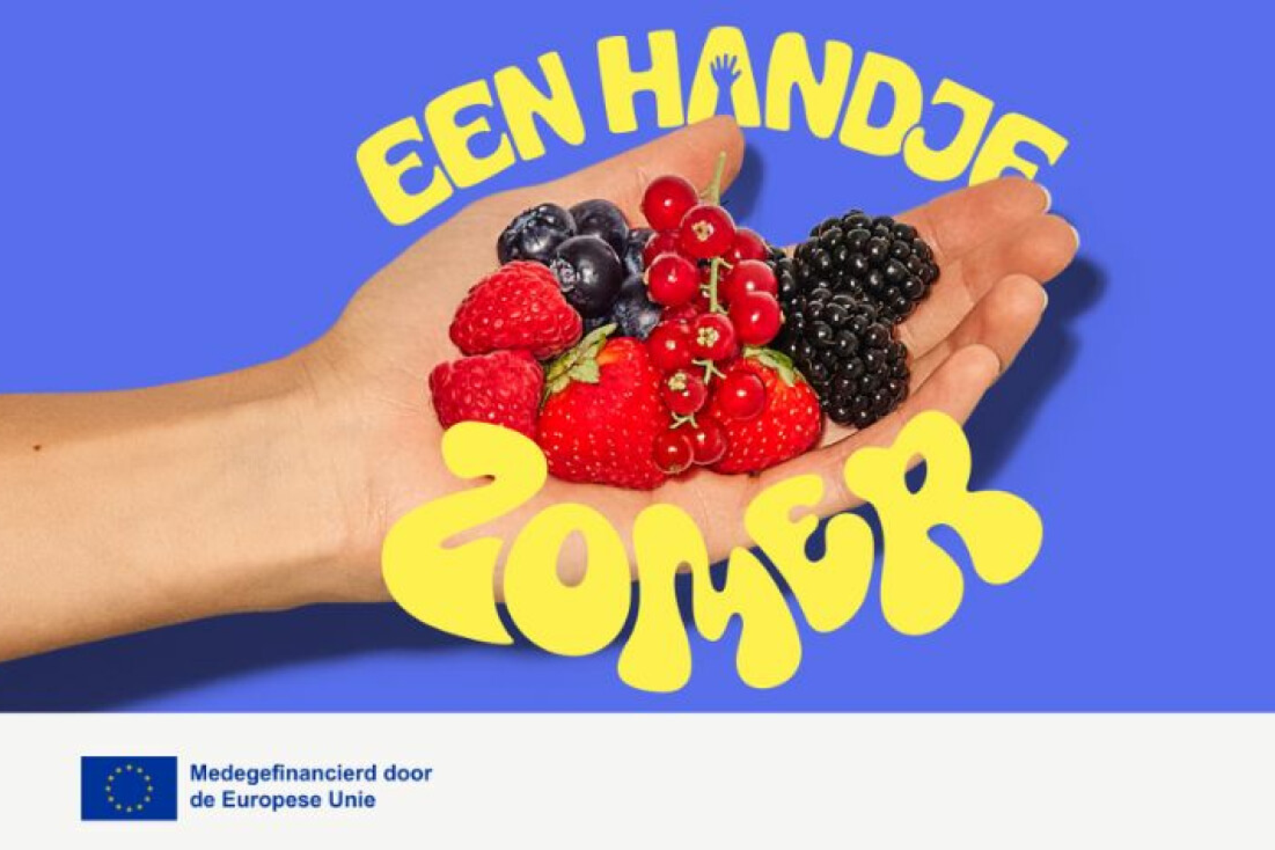Hand hält eine Auswahl an roten und schwarzen Beeren vor blauem Hintergrund mit gelbem Text 'EEN HANDJE ZOMER'