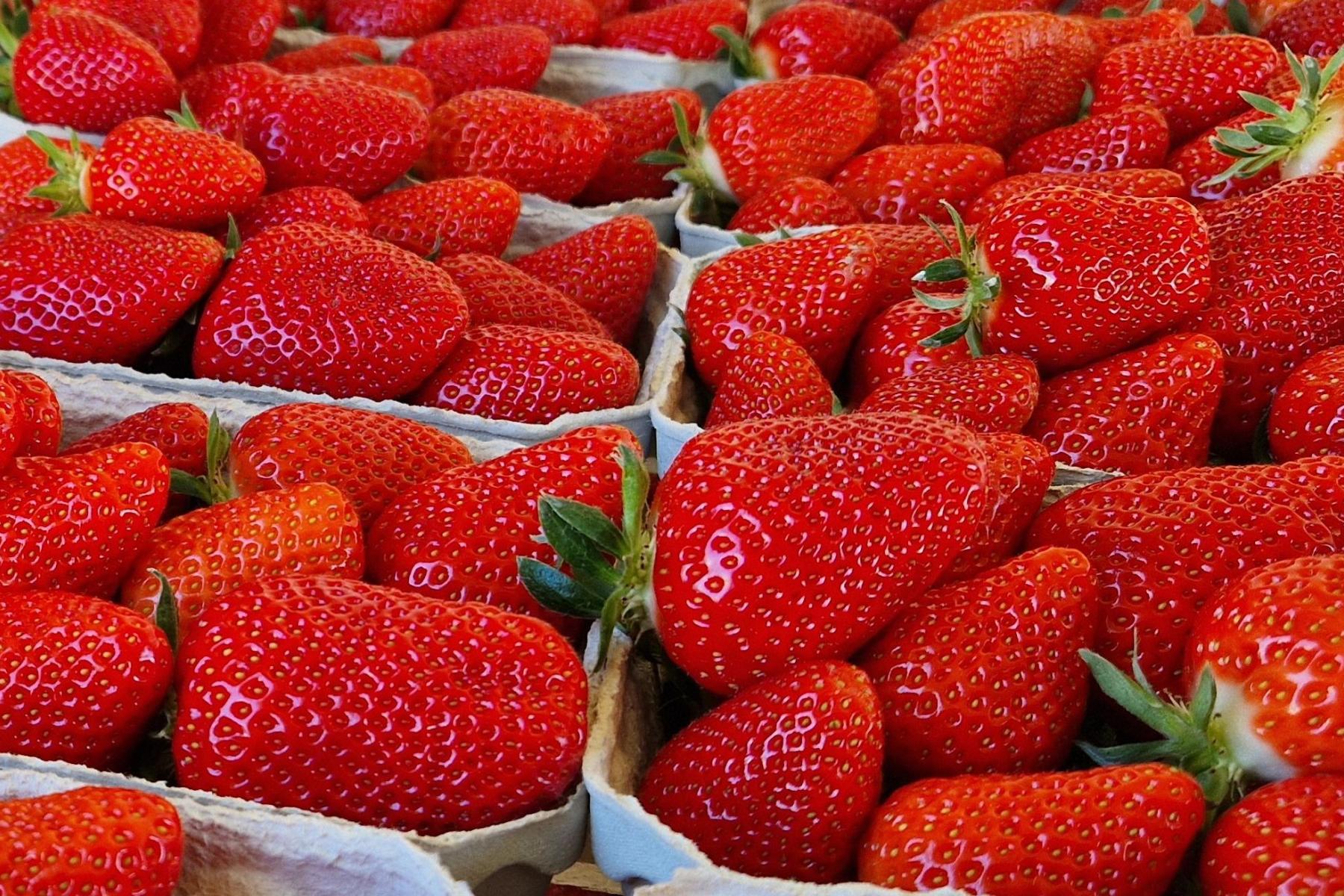 Frische rote Erdbeeren in eng aneinander stehenden Pappschalen