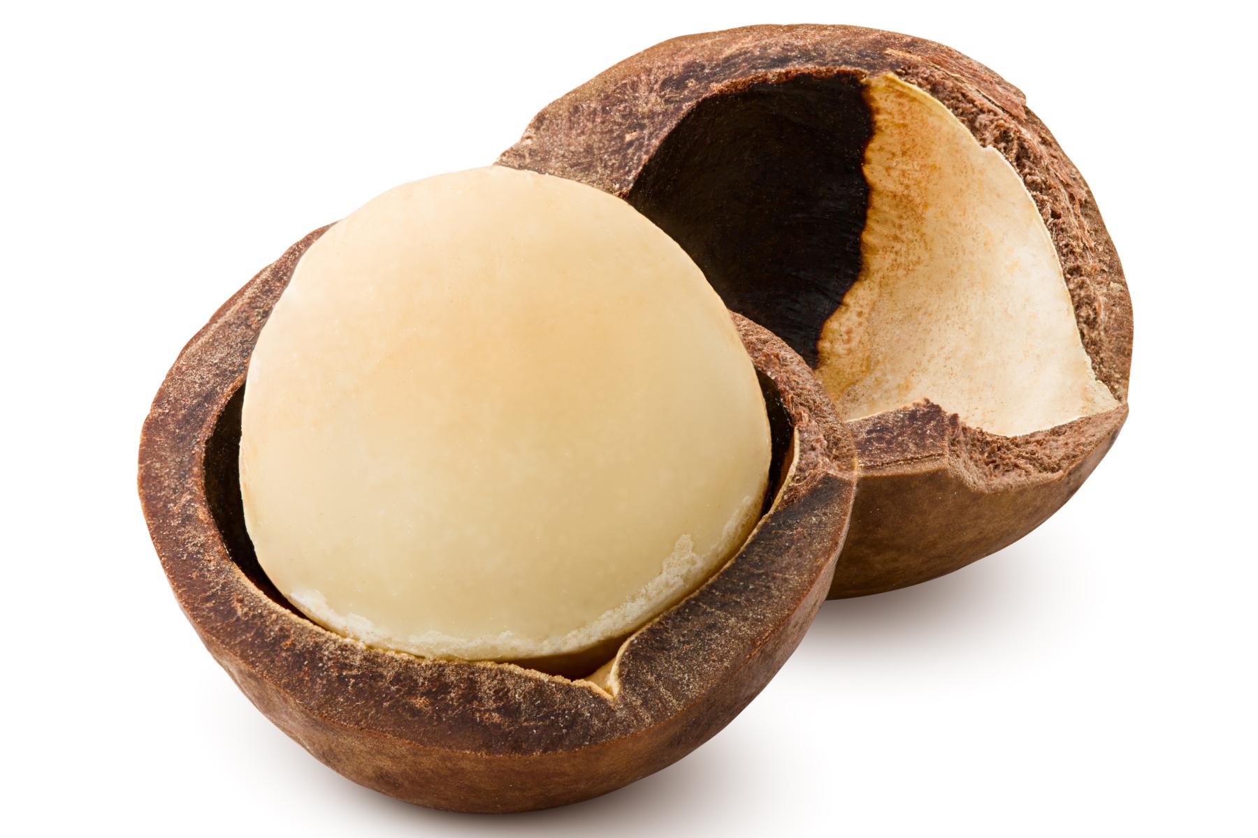 aufgeknackte Macadamianuss