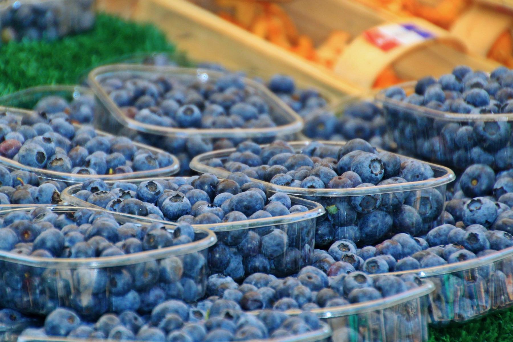 Heidelbeeren in Schalen